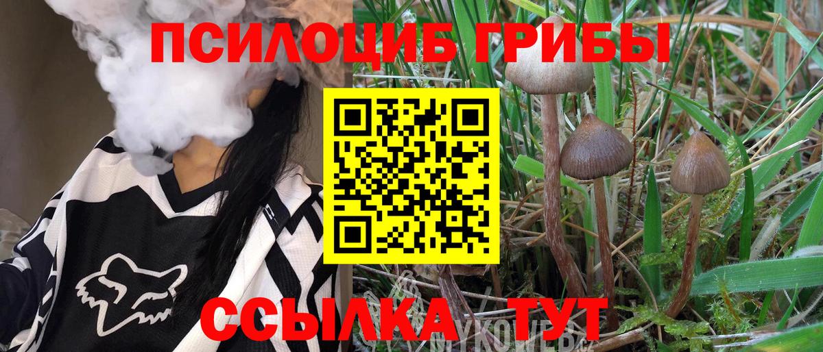Псилоцибиновые грибы прущие грибы Саратов