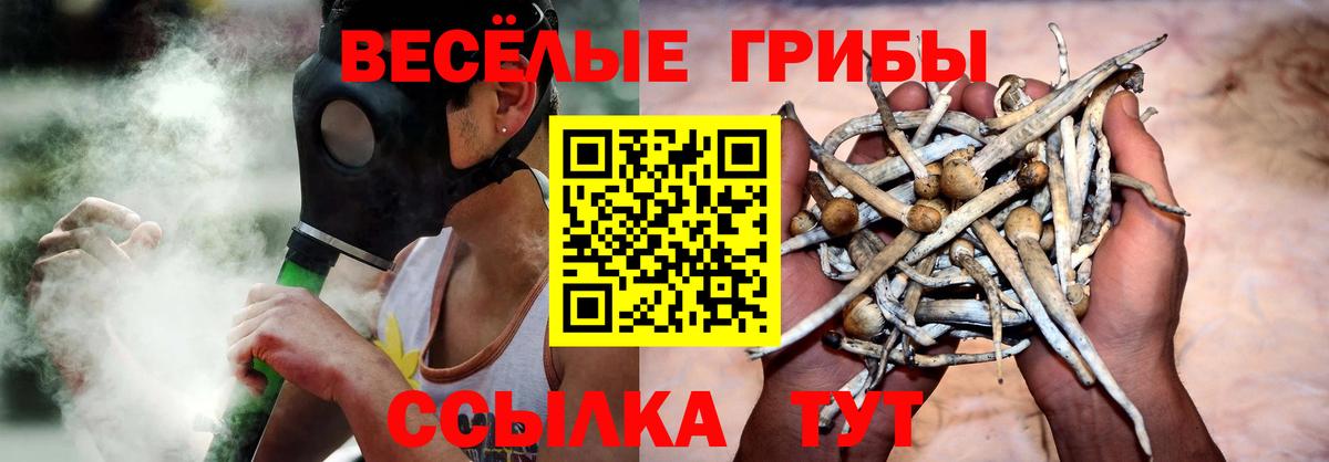 Саратов  Галлюциногенные грибы ЛСД  Вход с VPN  Псилоцибиновые грибы ЛСД 